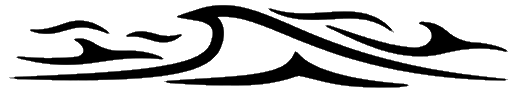 Left Wave Icon